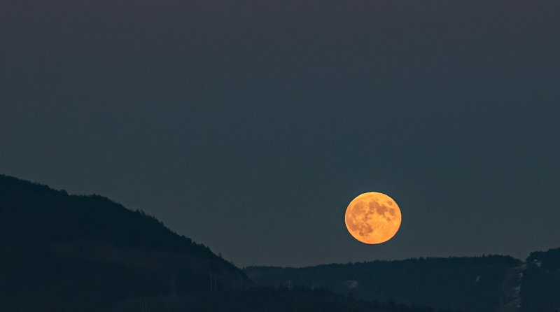 <br>Carl Erland<br>October 2023<br>Rising Moon Over Cowichan
