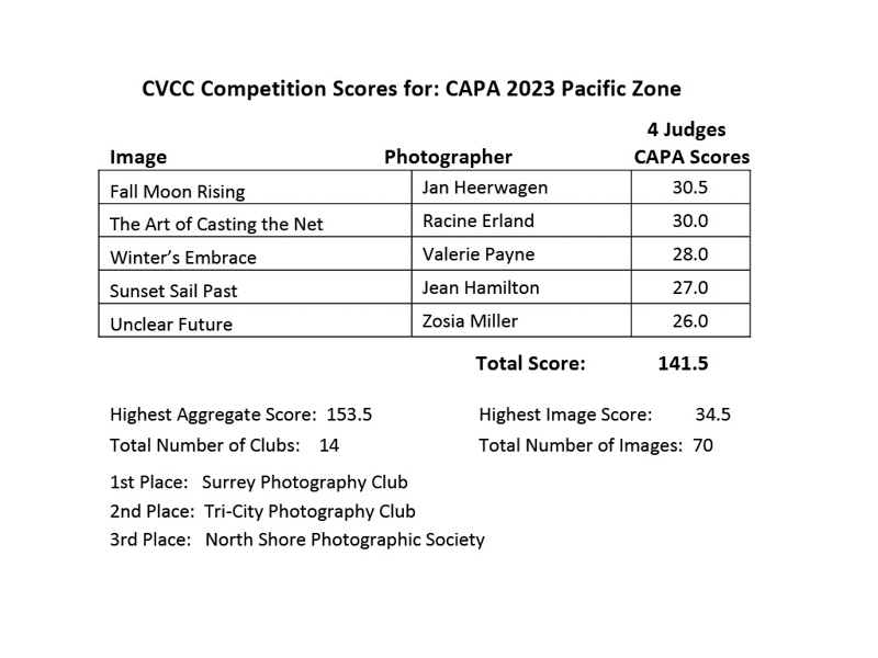 o12/54/364954/1/174092560.QdUz2SxA.bbSummaryofCAPAImageScores.jpg