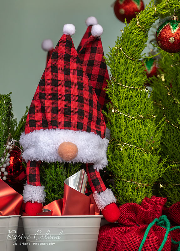 <br>Racine Erland<br>Christmas Decorations<br>Field Trip - Nov19-Dec2, 2023<br>Gnome Tree