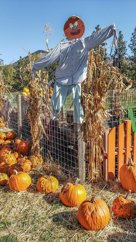 <br>Jan Heerwagen<br>Halloween<br>Field Trip - October 15-31, 2023<br>Pumpkin Stand