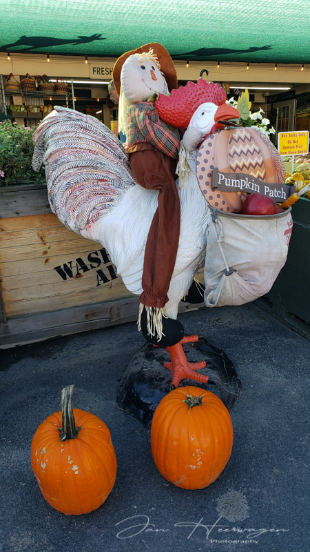 <br>Jan Heerwagen<br>Halloween<br>Field Trip - October 15-31, 2023<br>Pumpkin Patch Mascot