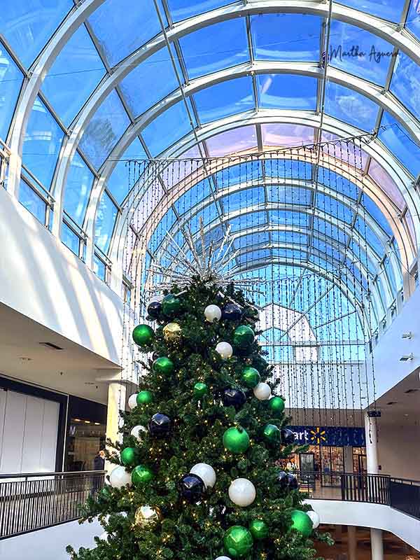 Martha AgueroChristmas DecorationsField Trip - Nov19-Dec2, 2023Christmas At Lougheed Mall
