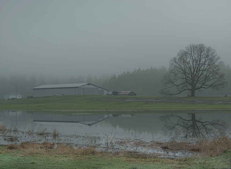 <br>Ed Taje<br>December 2023<br>Farmland fogged in