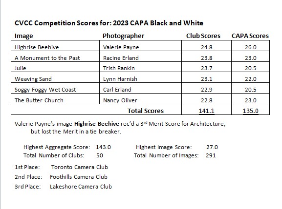Summary of CVCC & CAPA Image Scores