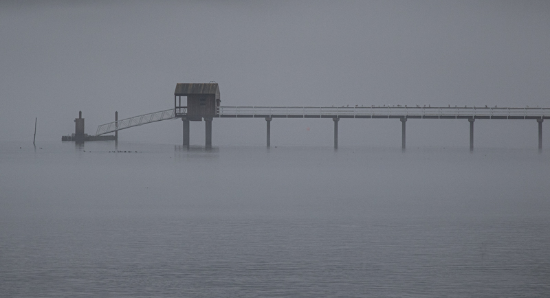 <br>Carl Erland<br>January 2024<br>Dock in the Fog