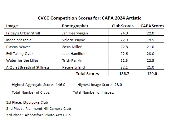 <br>Summary of CVCC & CAPA Image Scores