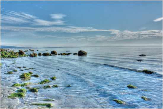 Photographer's NameSalt Water - Not Restricted to OceansField Trip - June 16-30, 2024Image Title