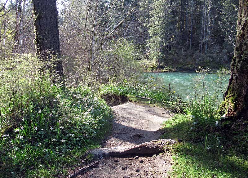 <br>Willie Harvie<br>Rivers<br>Field trip April 1 - 14th, 2024<br>Trail to the River