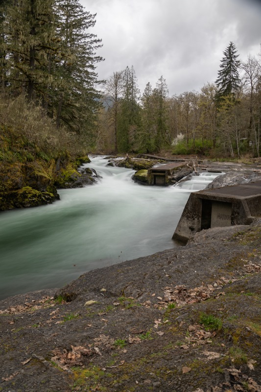 Claus MadsenRiversField Trip April 1 - 14th,2024 Cowichan River At Skutz Falls
