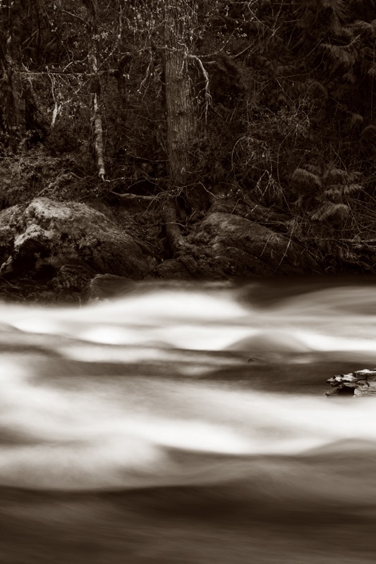 Claus MadsenRiversField Trip April 1 -14th,2024Cowichan River