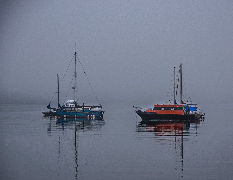 Ed Taje2024  AprilLondon Drugs Canvas PrintTheme: WeatherOut of the Mist