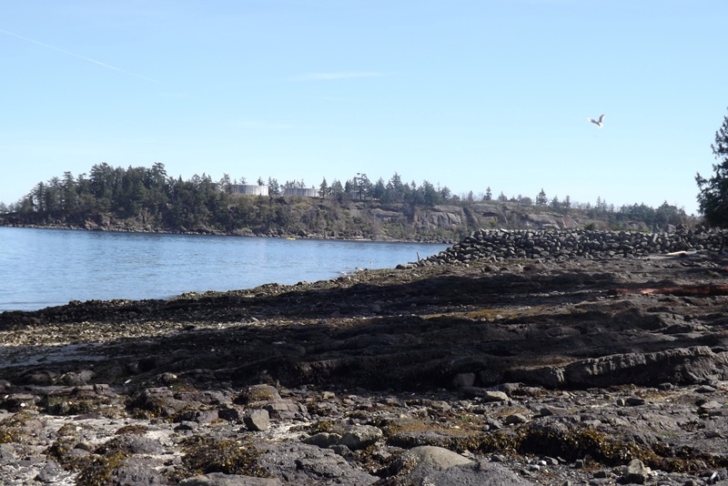 Nicci Clark March 2024Rock Layers