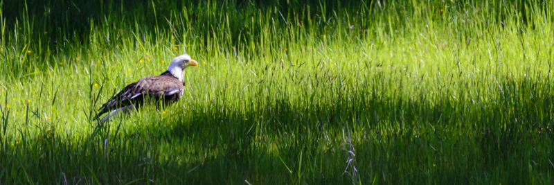 Randy BlakeMay 2024Sunbathing