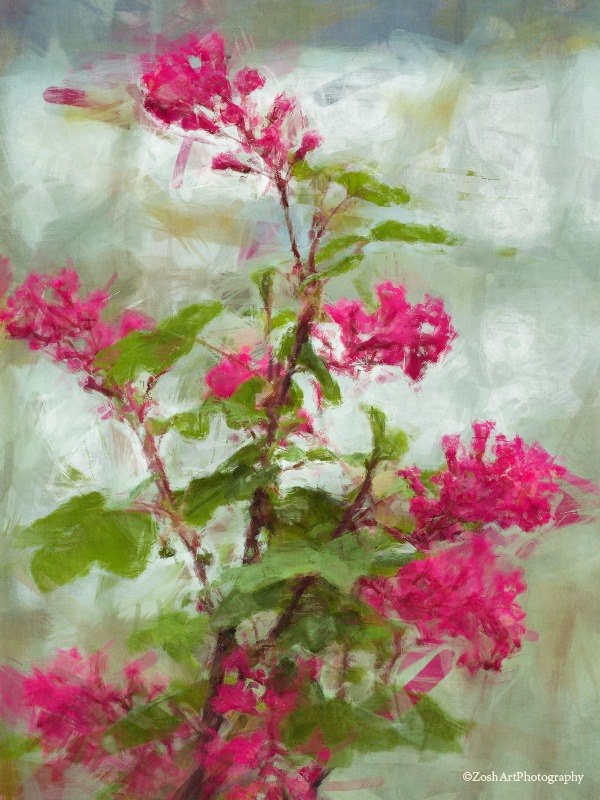 Zosia MillerApril 2024 The Bay Blossoms