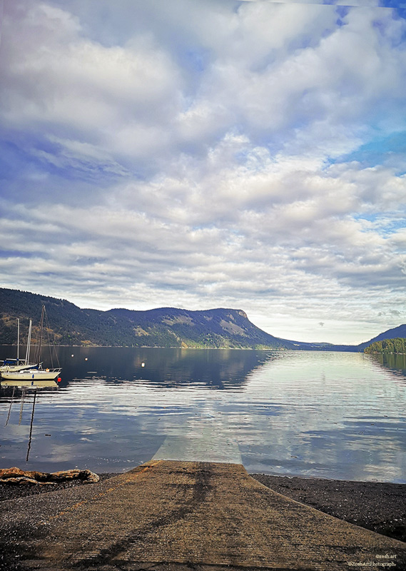 Zosia MillerApril 2024  Maple Bay View