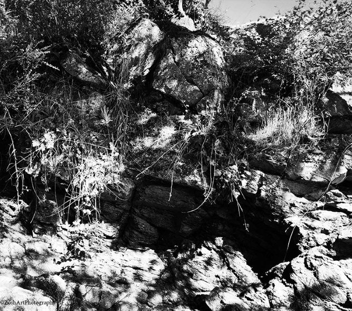 Zosia MillerApril 2024  Rock Face