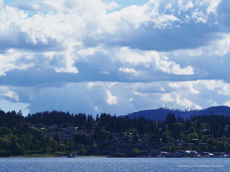 Zosia MillerApril 2024 View from Genoa Bay