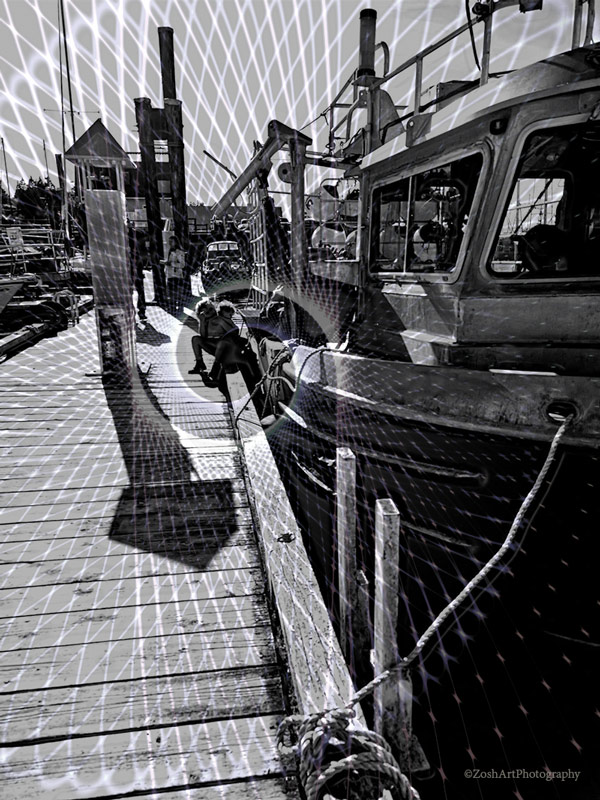 Zosia MillerMay 2024 The Fishing Net