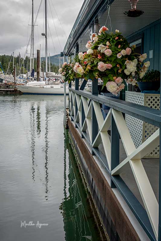 Martha AgueroMay 2024 Flowers on the Bay