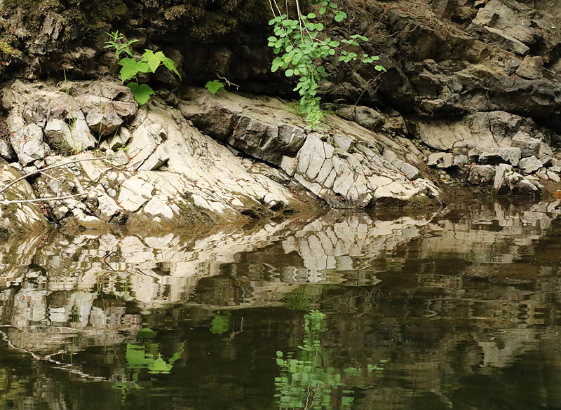Willie HarvieJune 2024Rock Reflections