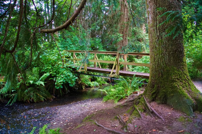 Marilyn JeffriesAskew Creek ParkJune 1-15, 2024A Slow Meandering Stream