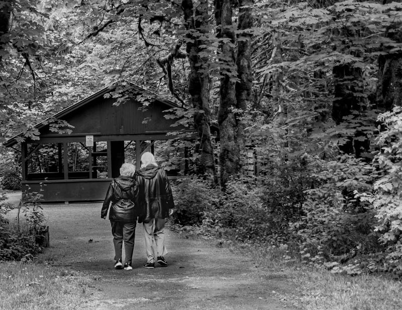 Ed TajeBright Angel ParkJune 2024A Walk in the Park