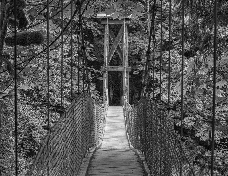 Ed TajeBright Angel ParkJune 2024Bridge across the Waters