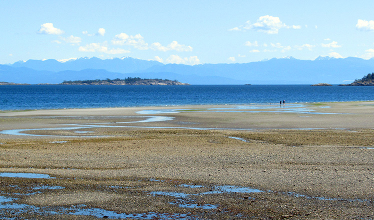 Willie HarvieSalt Water - Not Restricted to OceansField Trip - June 16 - 30, 2024A Long Way Out