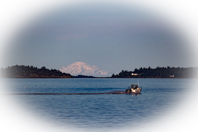 Carl ErlandSalt Water - Not Restricted to OceansField Trip - June16-30, 2024Mt Baker Peaks through the Islands