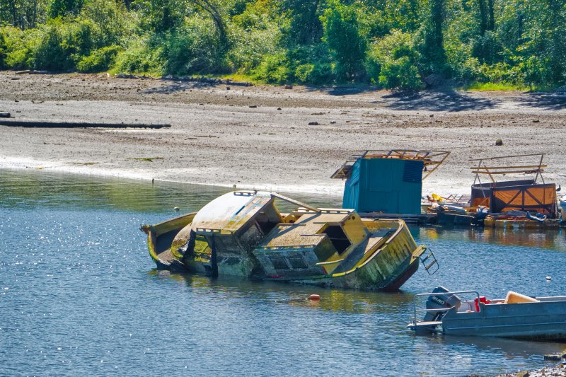 Marilyn JeffriesSalt Water - Not Restricted to OceansField Trip - June16-30, 2024A Saltwater Reclamation