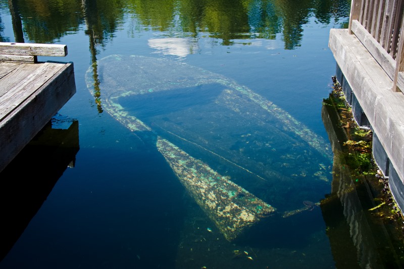 Marilyn JeffriesSalt Water - Not Restricted to OceansField Trip - June16-30, 2024The S.S. Submersible