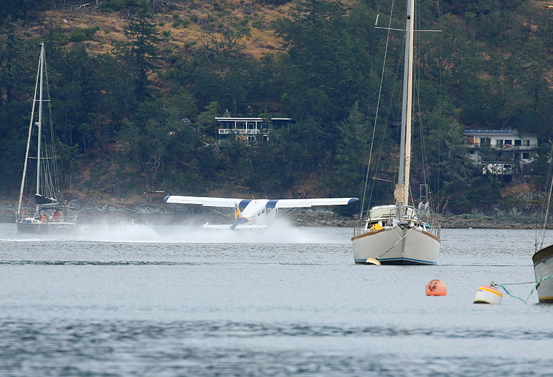 Willie HarvieSalt water - not restricted to OceansField Trip June 16 - 30, 2024Picking up Speed 