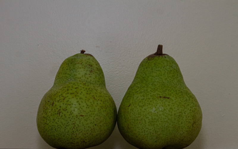 02  Carl Erland2024 Summer Challenge02 - A Pair OfPair of Pears Pairs