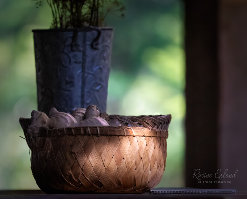 10 Racine Erland2024 Summer Challenge10-BokehLast of the Light