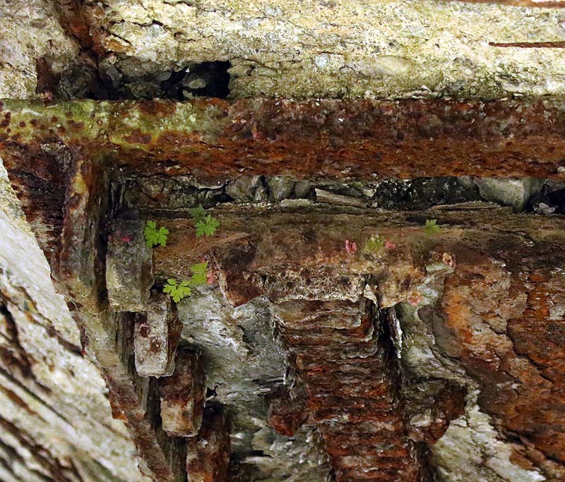 Willie HarvieMining Theme - Day Trip Newcastle IslandField Trip July 16 - 31, 2024Life amongst Concrete