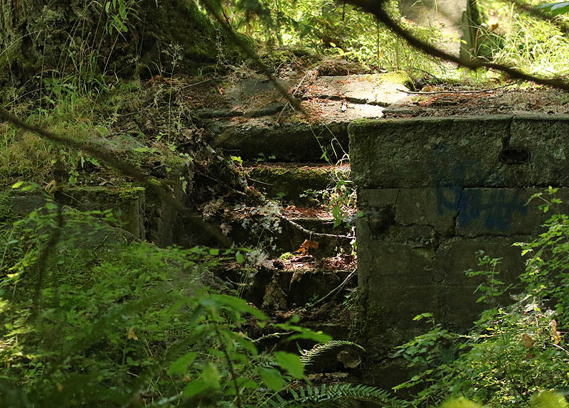 Willie HarvieMining Theme - Day Trip Newcastle IslandField Trip July 16 - 31, 2024Stairs to the Forest