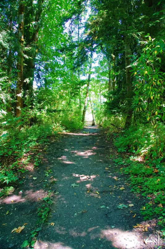 Marilyn JeffriesMining Theme- Field Trip July 16-31, 2024Morden Colliery Regional Trail