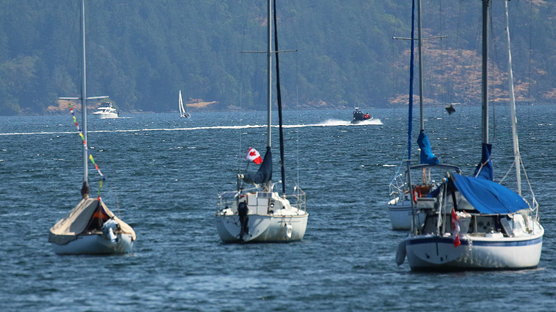 08 Willie Harvie2024 Summer Challenge08 - NauticalWhale watchers head to Sea
