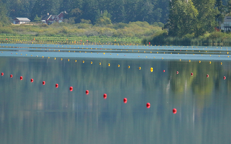 12 Willie Harvie2024 Summer Challenge12 - Row of ThingsMarker Floats