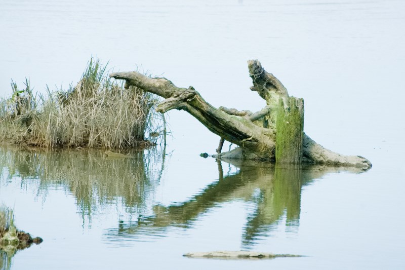 20 Marilyn Jeffries2024 Summer Challenge20-DesolationWhen Water Transforms the Dullness