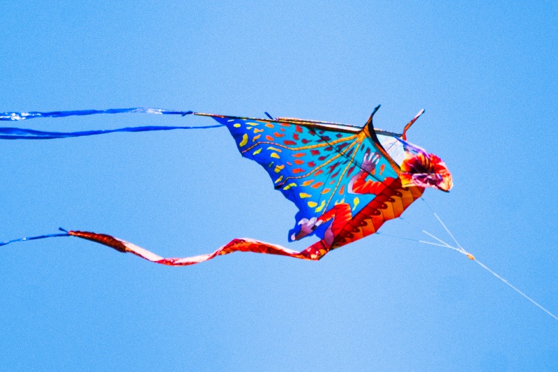 11 Marilyn Jeffries2024 Summer Challenge11-Only 2 Complimentary ColoursA Perfect Day For Kites