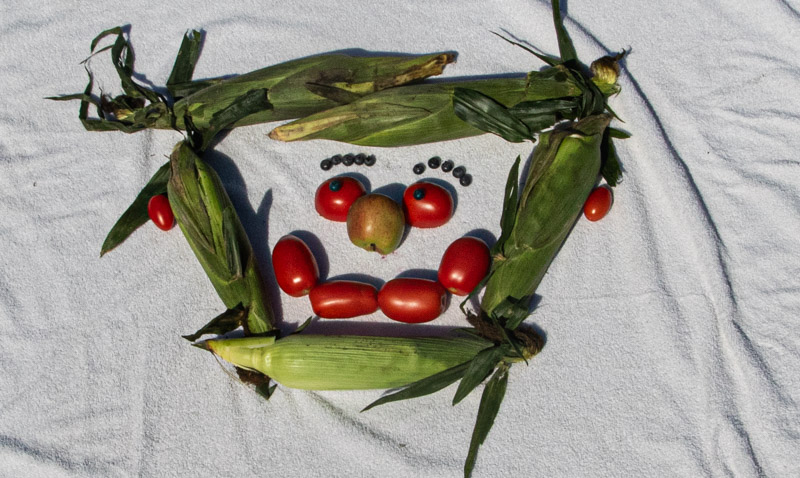 Carl ErlandFarm Vittles - Aug. 16 - 31, 2024 Garden Produce Makes You Happy