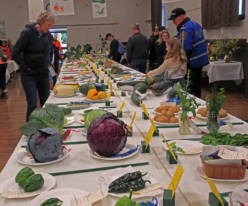 Willie HarvieFarm Vittles - Aug. 16 - 31, 2024Award winning Produce