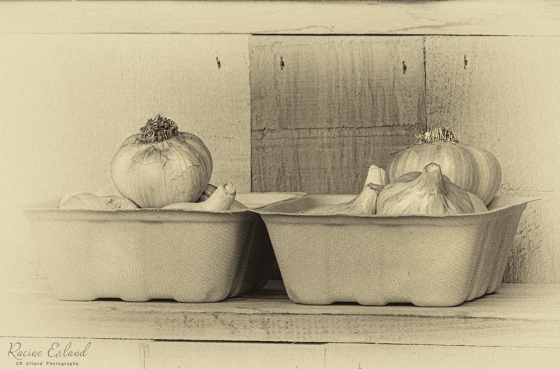 Racine ErlandFarm Vittles - Aug. 16 - 31, 2024 Garlic's Amazing History