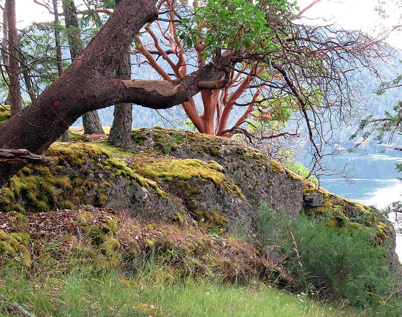 21 Willie Harvie2024 Summer challenge21 - Beautiful BCStoney Hill 