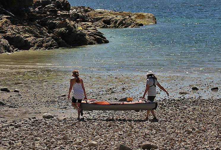 Willie HarvieJuly 2024Watching their Step