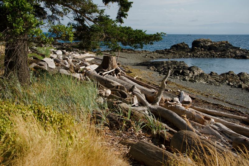 21 Marilyn Jeffries2024 Summer Challenge21-Beautiful BCNeck Point Vancouver Island