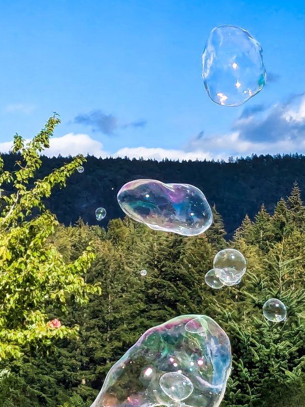 01 Marilyn Jeffries2024 Summer Challenge01-IridescentBubbles On The Wind