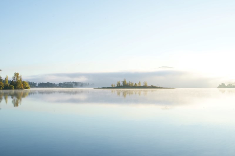 Marilyn JeffriesSeptember 2024Tranquility