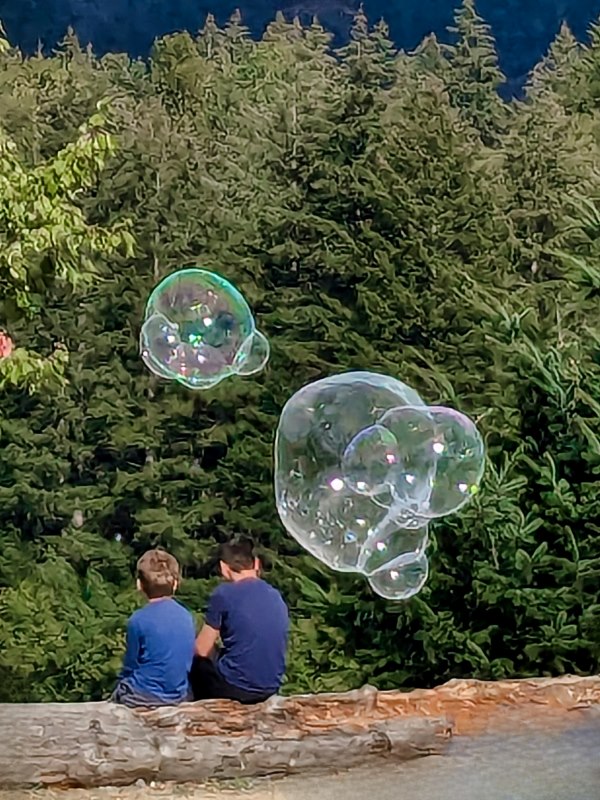 Marilyn JeffriesSeptember 2024Oblivious To The Approaching Soap Bubbles